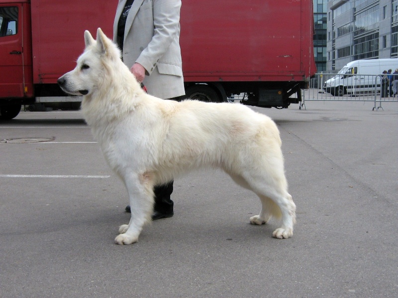 Bounty de la vallee des loups anges